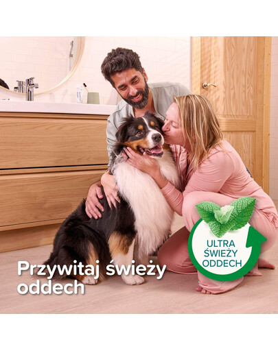 BEAPHAR Toothpaste Mint and Parsley 100 g pasta do zębów o smaku mięty i pietruszki dla psów i kotów