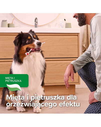 BEAPHAR Toothpaste Mint and Parsley 100 g pasta do zębów o smaku mięty i pietruszki dla psów i kotów