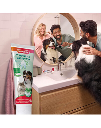 BEAPHAR Toothpaste Mint and Parsley 100 g pasta do zębów o smaku mięty i pietruszki dla psów i kotów