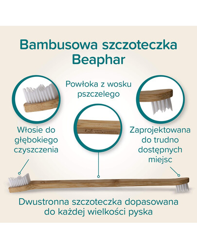 BEAPHAR Bamboo Toothbrush bambusowa dwustronna szczoteczka do zębów dla psów i kotów