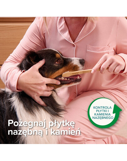 BEAPHAR Bamboo Toothbrush bambusowa dwustronna szczoteczka do zębów dla psów i kotów