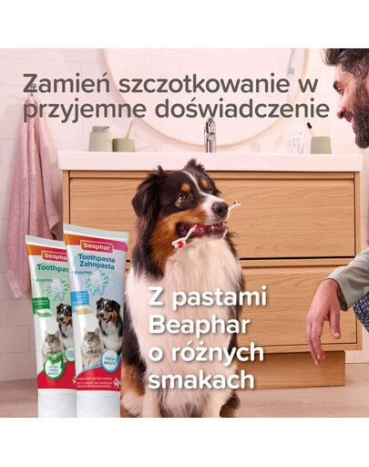 BEAPHAR Bamboo Toothbrush bambusowa dwustronna szczoteczka do zębów dla psów i kotów