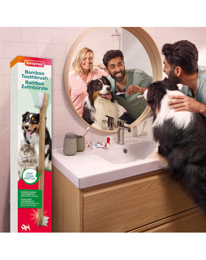 BEAPHAR Bamboo Toothbrush bambusowa dwustronna szczoteczka do zębów dla psów i kotów