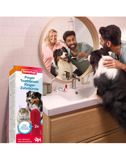 BEAPHAR Finger Toothbrush szczoteczka do zębów naparstkowa dla psów i kotów