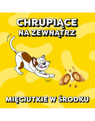 DREAMIES Chrupiące przysmaki dla kota o smaku kurczaka 60 g