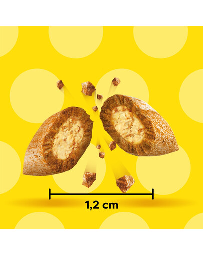 DREAMIES Chrupiące przysmaki dla kota o smaku wołowiny 60 g