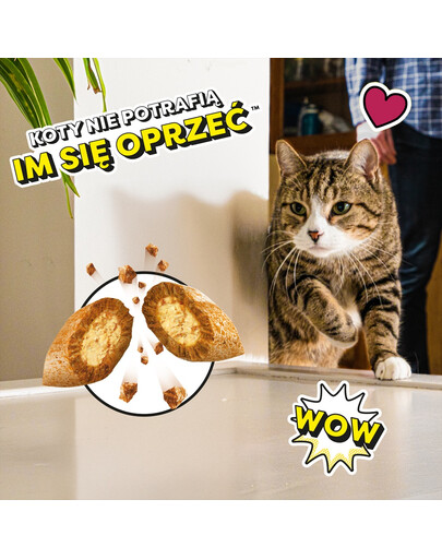 DREAMIES Mega Pack Chrupiące przysmaki dla kota o smaku sera 180 g