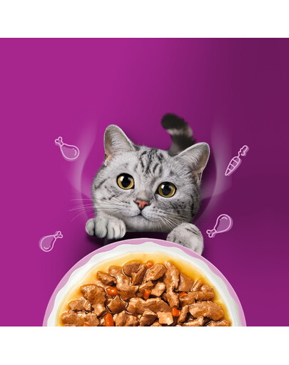 WHISKAS Adult Aromatyczna Mieszanka saszetki 40x85 g mokra karma pełnoporcjowa dla dorosłych kotów w sosie kawałki z glazurowaną wieprzowiną i marchewką, soczystym kurczakiem, z kawałkami ryb oceanicznych w bulionie, delikatnym łososiem i groszkiem