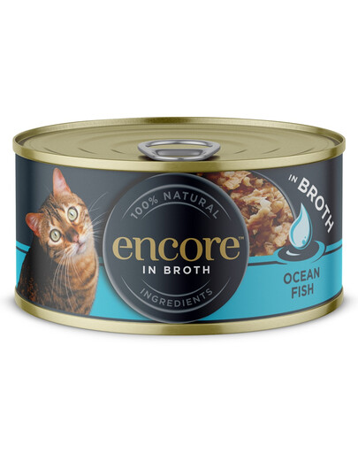 Cat Ocean Fish in Broth ryby oceaniczne w bulionie 70 g