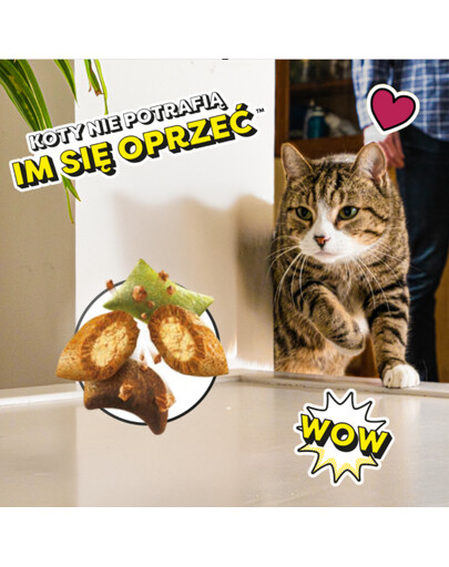 DREAMIES Shake Ups Multivitamins Chrupiące przysmaki dla kota Smaki z paki 55 g