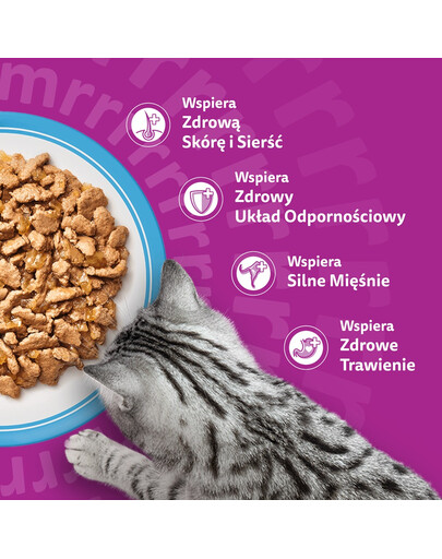 WHISKAS Adult saszetki w galaretce 40x85g dla dorosłych kotów