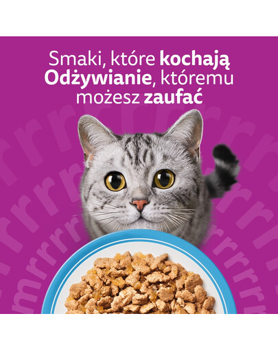 WHISKAS Adult saszetki w galaretce 40x85g dla dorosłych kotów