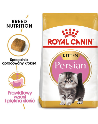 ROYAL CANIN Kitten persian 4x2 kg karma sucha dla kociąt do 12 miesiąca życia rasy perskiej