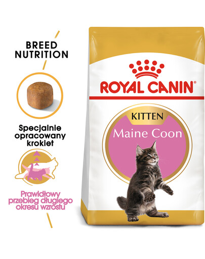 ROYAL CANIN Maine Coon Kitten karma sucha dla kociąt, do 15 miesiąca, rasy maine coon 6x400 g