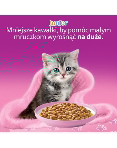 WHISKAS Junior Drobiowa Uczta 40x85g mokra karma z kurczakiem, kaczką, drobiem i indykiem w galaretce dla kociąt