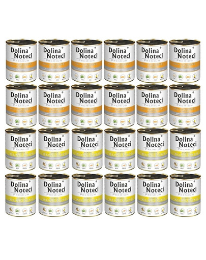 DOLINA NOTECI Mix smaków Premium Bogata w kurczaka i kaczkę z dynią 24x800g