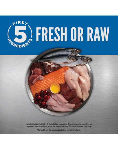 ORIJEN Original Dog 11,4 kg