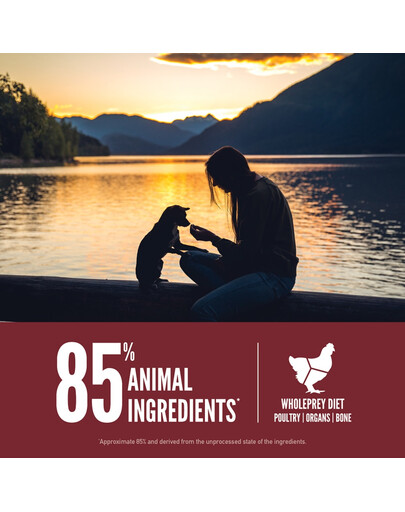 Small Breed Dog 1,8 kg