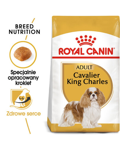 ROYAL CANIN Cavalier King Charles Spaniel Adult 4x1.5 kg karma sucha dla psów dorosłych rasy cavalier king charles spaniel