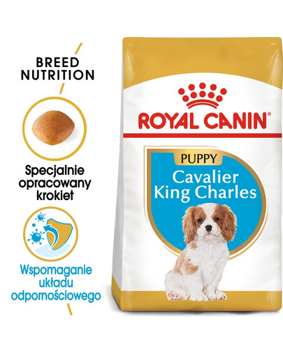 ROYAL CANIN Cavalier King Charles Spaniel Puppy karma sucha dla szczeniąt do 10 miesiąca, rasy cavalier king charles spaniel 4x1,5 kg