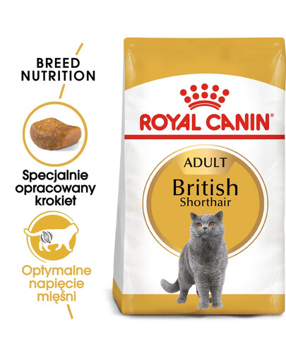 ROYAL CANIN British shorthair 34 4x2 kg sucha karma dla kotów dorosłych, powyżej 12 miesiąca, rasy brytyjski krótkowłosy