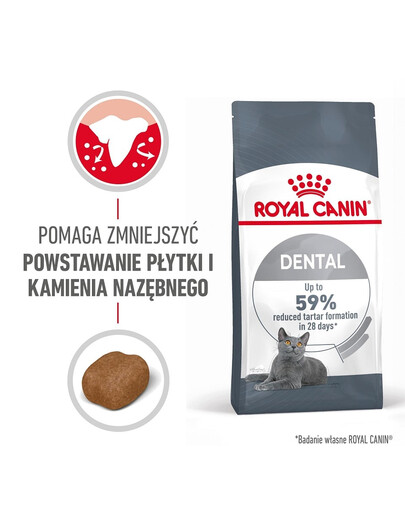 ROYAL CANIN Dental Care 24x400 g karma sucha dla kotów dorosłych, redukująca odkładanie kamienia nazębnego