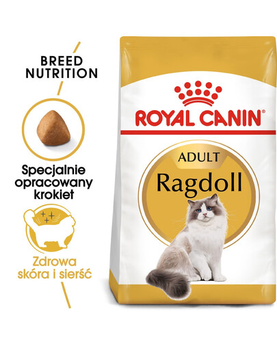 ROYAL CANIN Ragdoll adult 24x400 g karma sucha dla kotów dorosłych rasy ragdoll
