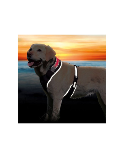 Szelki flash L - XL 65-100 cm czarne