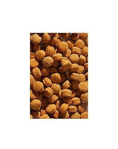 Nutribird h16 10 kg
