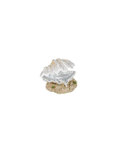 Dekoracja muszla z perłą 9 cm