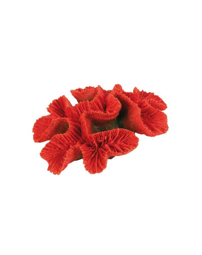 Dekoracja koral średni 17 cm
