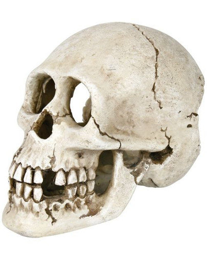 Dekoracja czaszka 15 cm