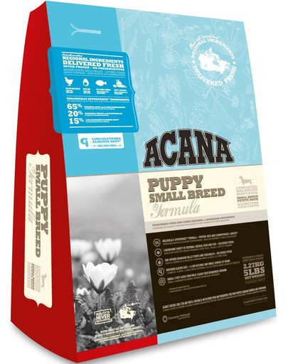 Puppy small breed dog 2.27 kg