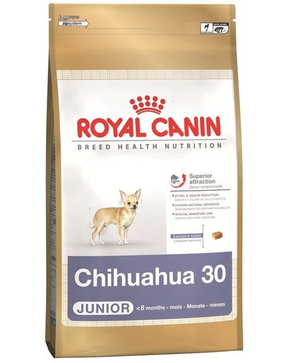 Wyprawka chihuahua junior 500+500