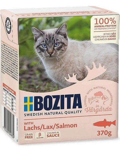 Kawałeczki mięsa w sosie z łososiem 370 g