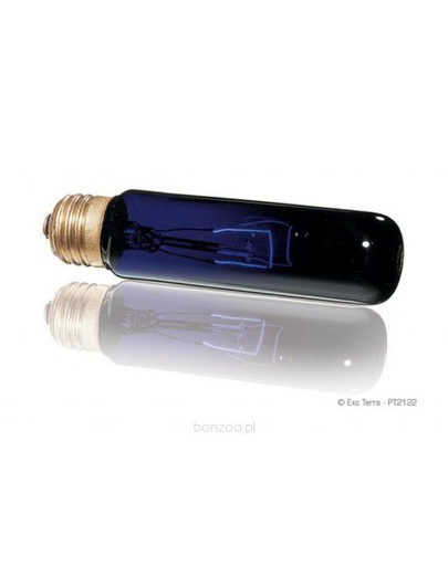 Exo Terra żarówka night glo15 W