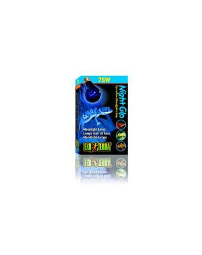 Exo Terra żarówka night glo 75 W