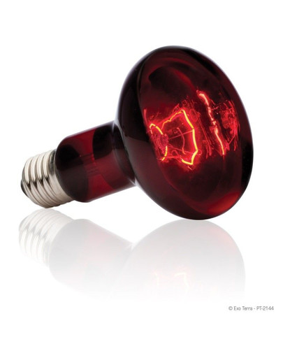 Exo Terra żarówka heat glo100 W 80 mm