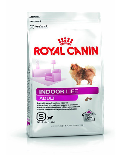 Indoor life adult small dog 1.5 kg