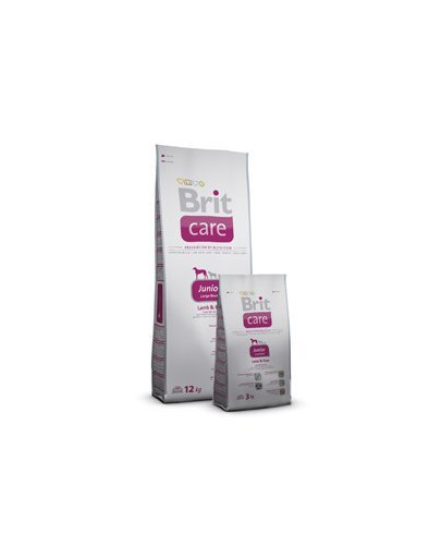 Care junior large breed lamb & rice 3 kg