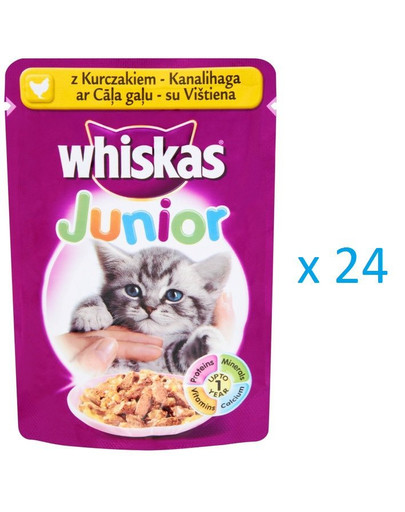 Saszetka junior drób 100g x24