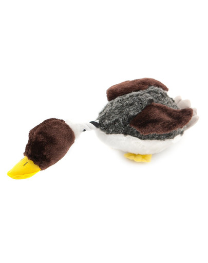Zabawka ducky