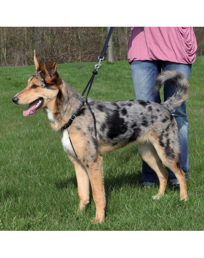 Szelki dla psa "EASY WALK" L 40-60 cm