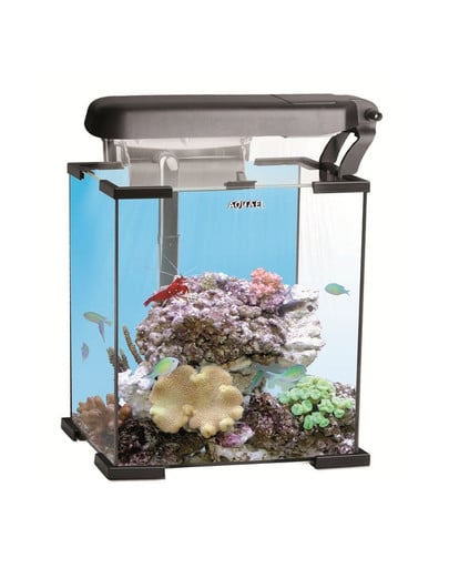 Zestaw Nano Reef 30 Lt Czarny LED