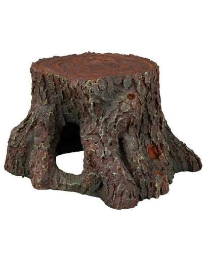 Pień 16 cm