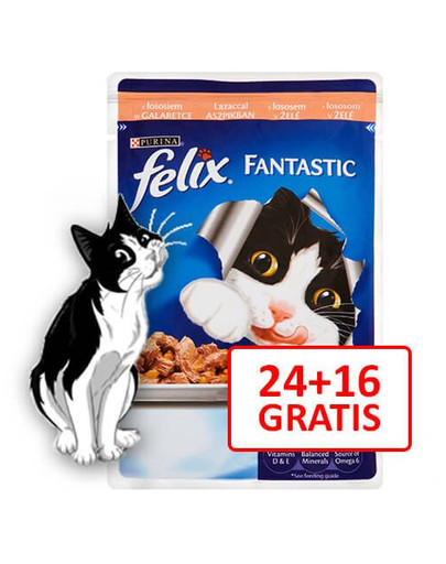 Fantastic Z Łososiem 100g 24 + 16 Gratis