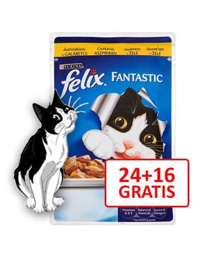 Fantastic Z Kurczakiem 100g 24 + 16 Gratis