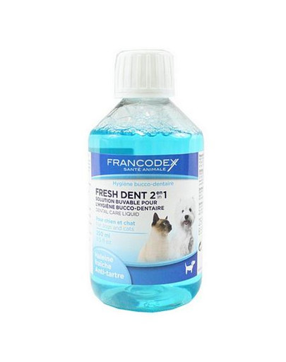 Fresh Dent - Płyn Do Higieny Jamy Ustnej 250 ml