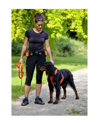 Szelki Do Biegania/Joggingu Canisport XL zielone