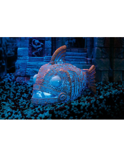 H2shOw Atlantis - ryba + meduza
